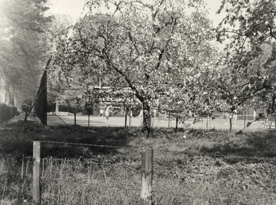44317 Gezicht op een bloeiende boom naast het Tennispark Rhijnauwen (Rhijnauwenselaan) te Bunnik.
